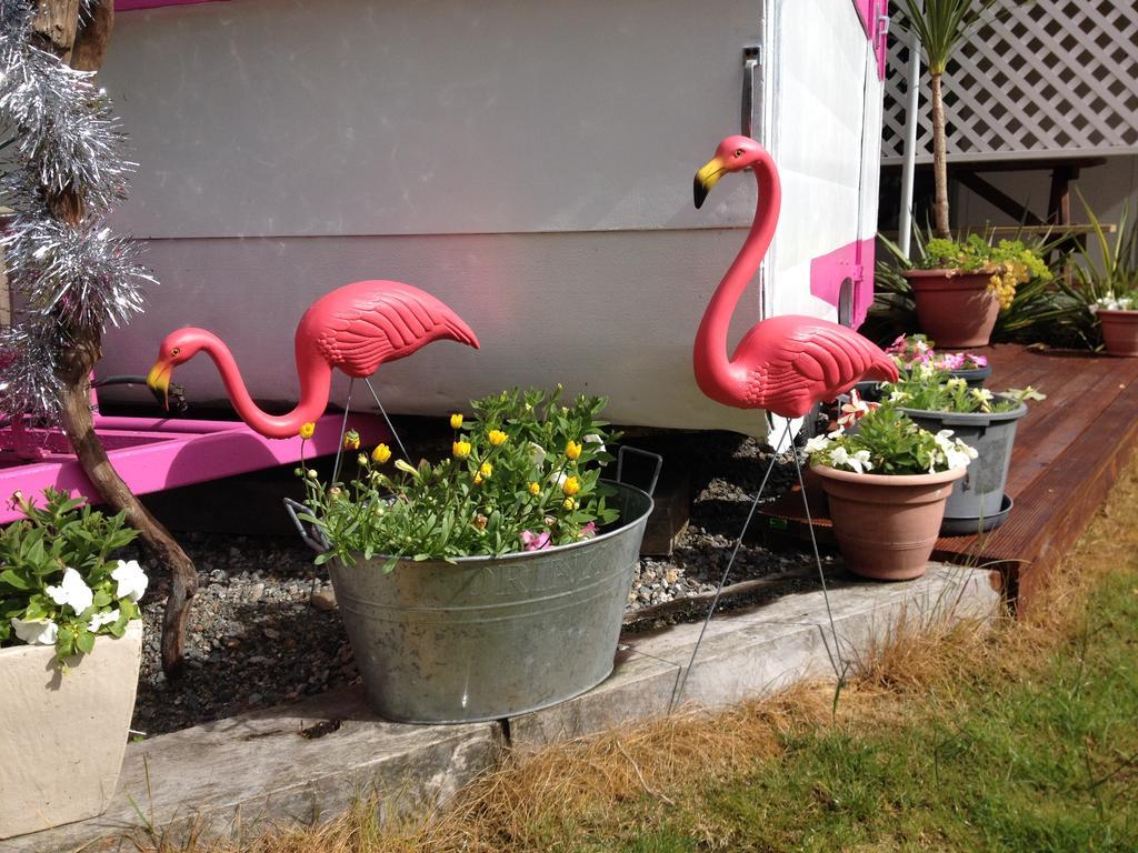 Tripinn Modern Motels & Affordable Accommodation Westport Rom bilde